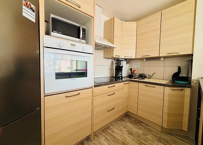 Saint-cyprien : T2 Moderne Avec Loggia Et Parking - Fr-1-309-506 公寓